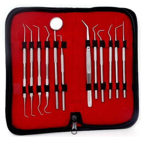A2Z Scilab 12 Pcs Professional Dental Cleaning Stainless Steel Tools in a Case A2Z-ZR-MPS12